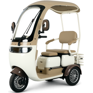 Elektrinis triratis su stogu E-GO X3 rudas